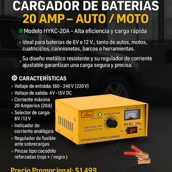 Cargador Bateria 20 A